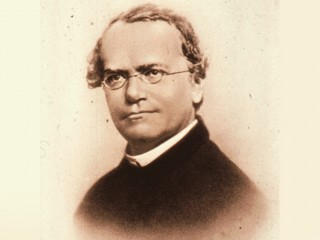 Gregor Mendel picture, image, poster